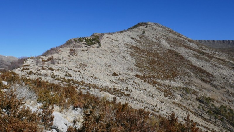 Sous la dernière montée vers le Mont de Lieuche