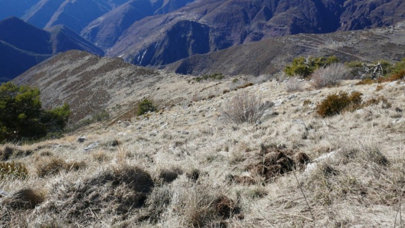 Retour sur la Crête de la Pelau