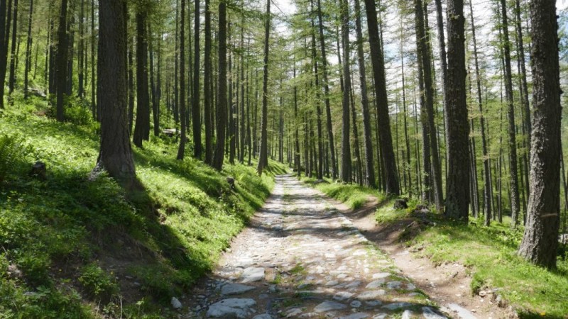 La piste dans le Vallon de Fontanalba