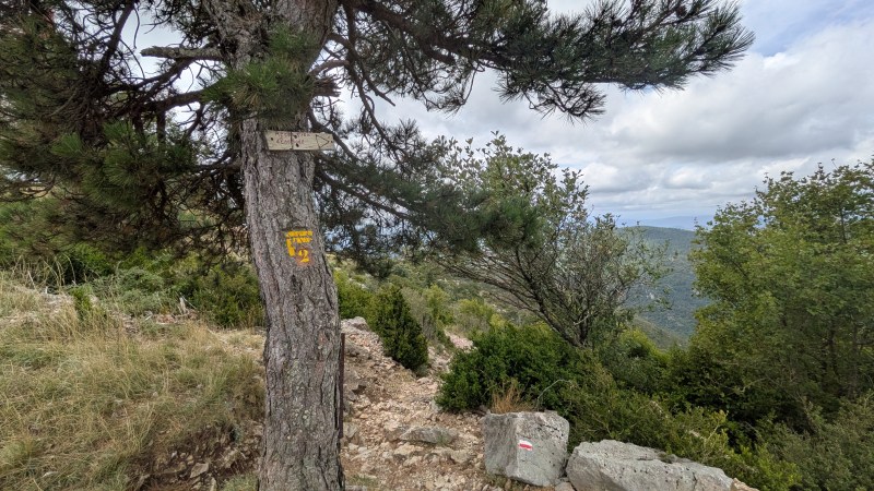 Le sentier de la descente