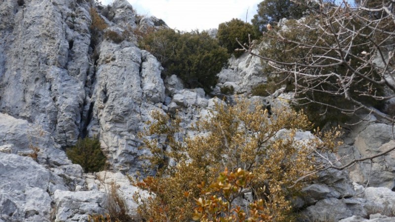 Le premier passage à grimper