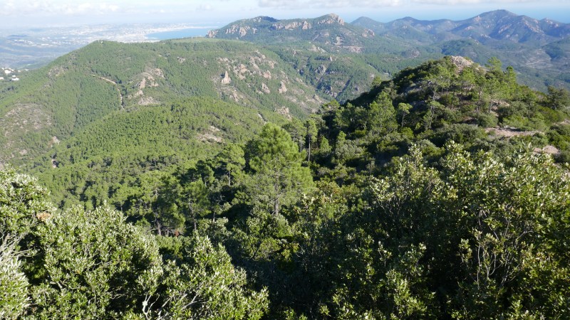 Du Mont Vinaigre vers la Baie de Cannes