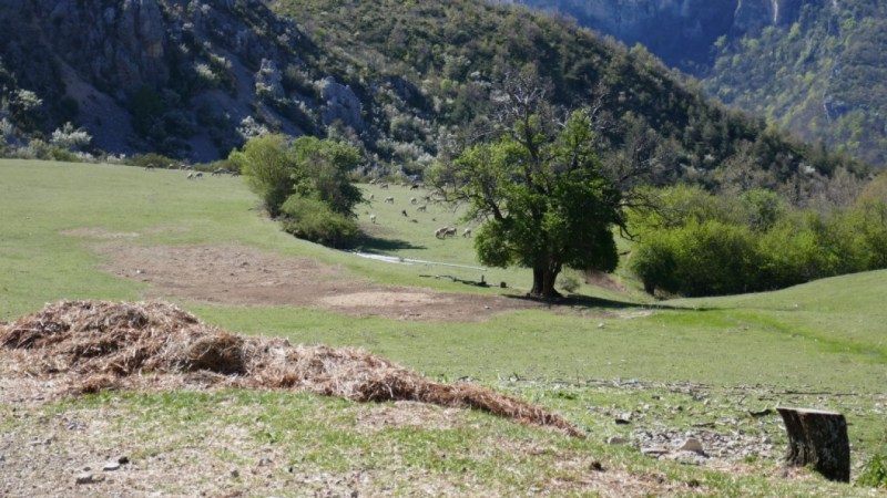 La ferme des Maurels