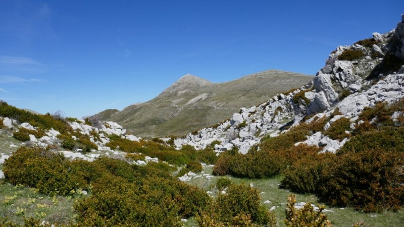 Du haut de la Barre des Maurels