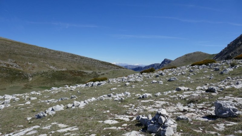 Sur le plateau sous le Mourre de Chanier