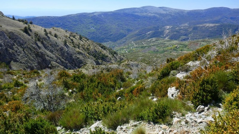 Vallon au-dessus des Bondils