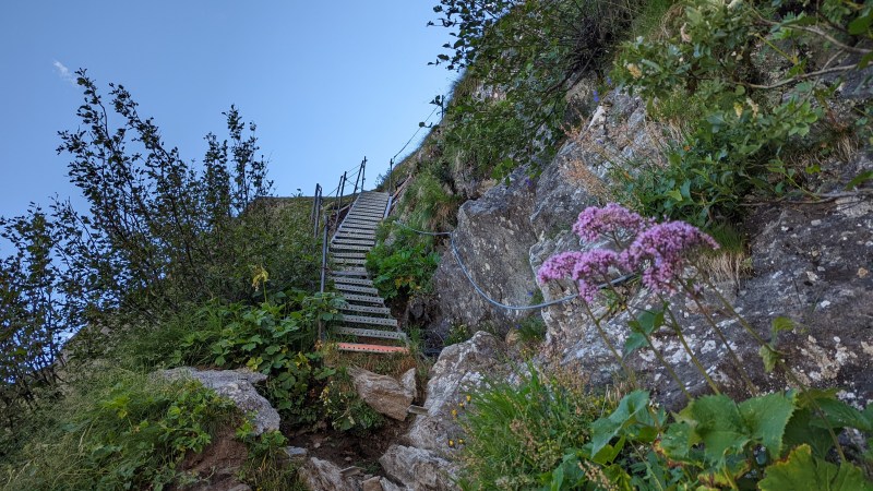 Le principal escalier