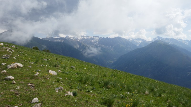 Des prairies sous le Baus de la Fréma, la vue s'ouvre sur le Massif du Mercantour