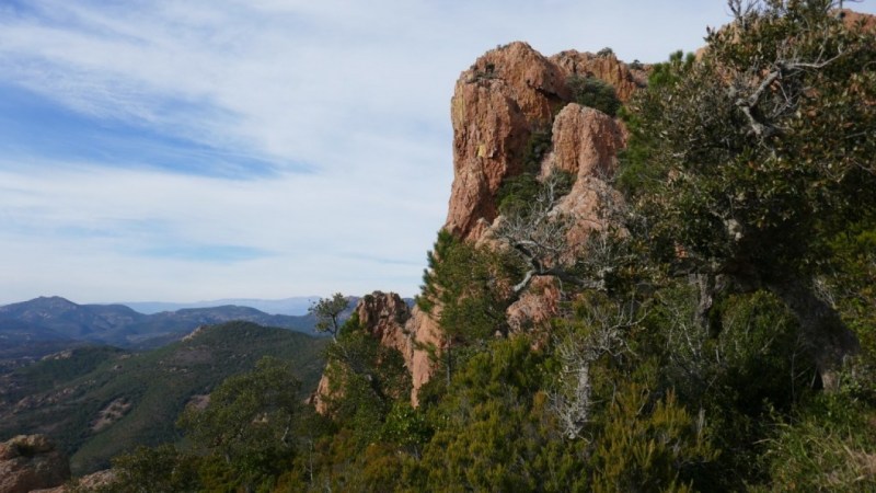 Roches rouges de l'Estérél