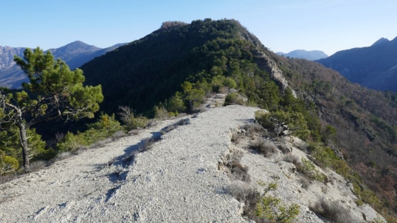 Sur la crête entre Var et Tinée