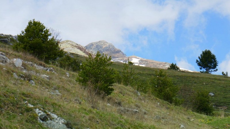 Le Pizzo d'Ormea apparaît rapidement