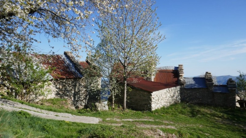 Printemps dans les hauteurs de Quarzina