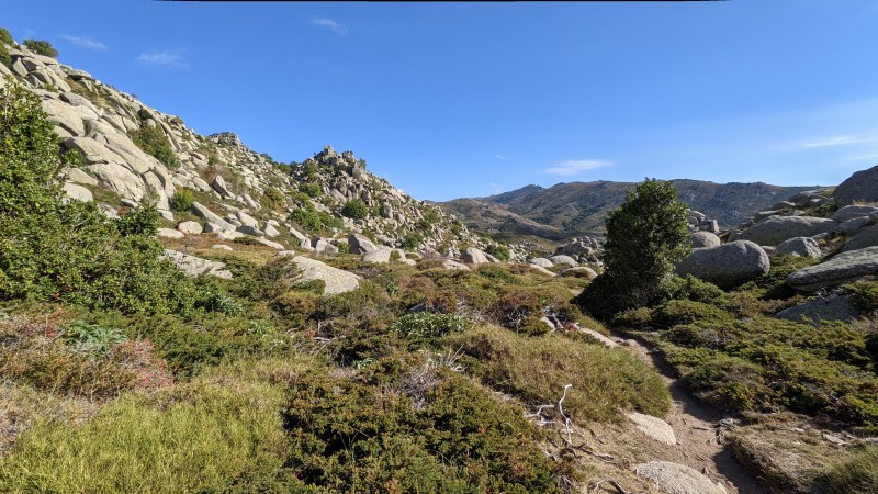 Dans le vallon sous le Castellu d'Ornucciu