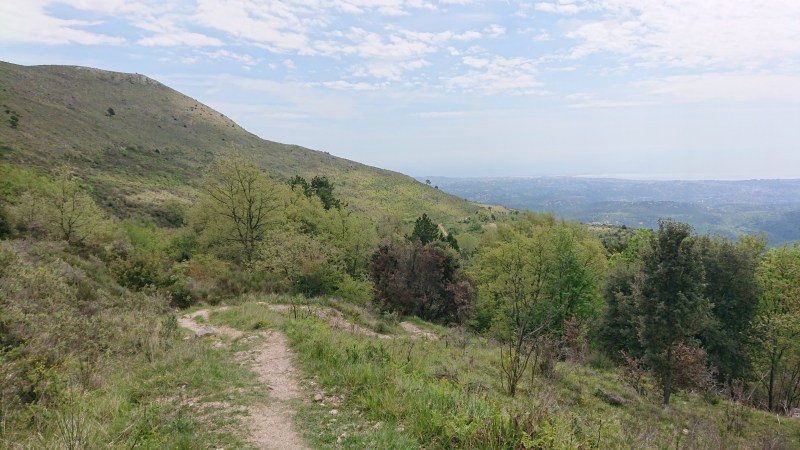 A la sortie de la forêt, la vue se dégage sur la côte