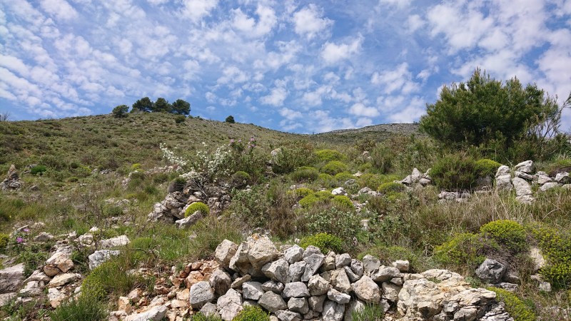 En bas de la descente sauvage hors-sentier