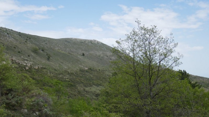 Début de la montée, sous le Puy de Naouri