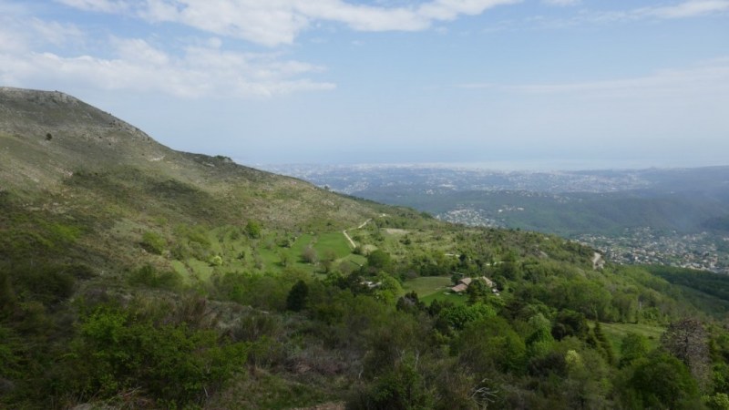 Plateau du Caire, et jusqu'à la mer