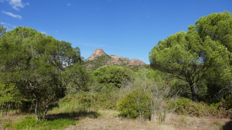 Vue sur le Rocher de Roquebrune du point de départ