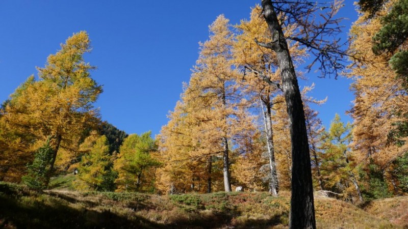 Montée au Col de Salèse