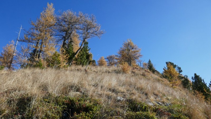 Début de la raide montée dans l'herbeux