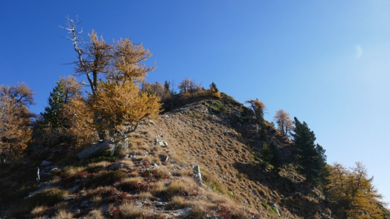 Un peu en-dessous de la Pointe de Rogué