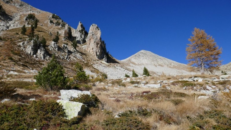 Descente dans le Vallon des Naucettes