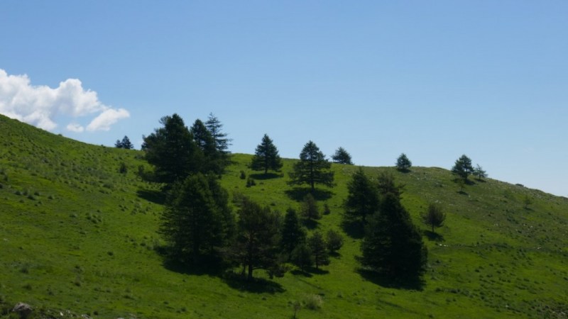 Le plateau de Pra Balou