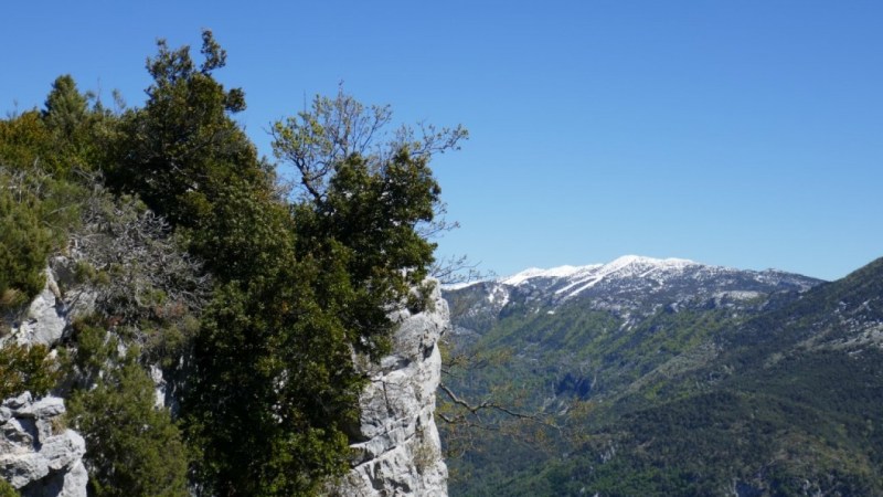 Montagne du Cheiron