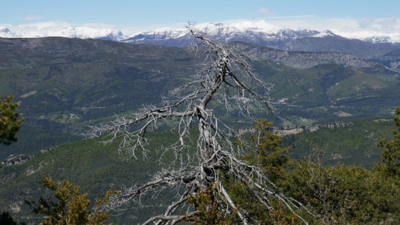 Vers le Mont Mounier