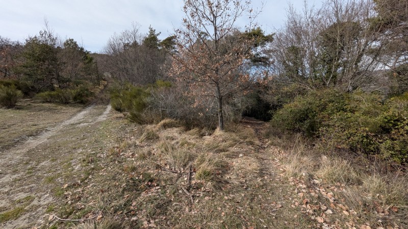 Piège : bien prendre le sentier à droite