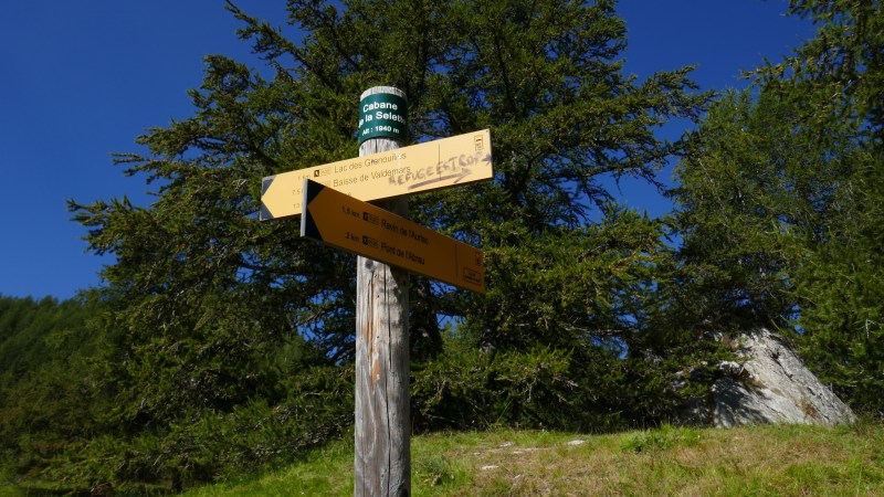 Cabane de la Selette