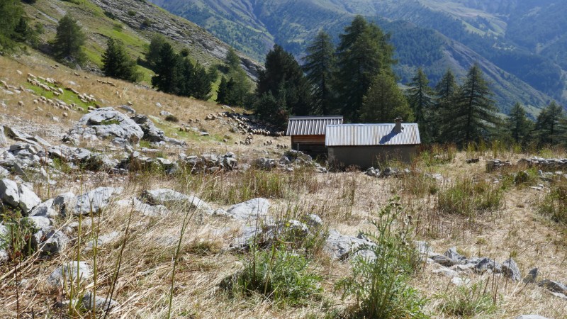 Cabane de l'Auriac