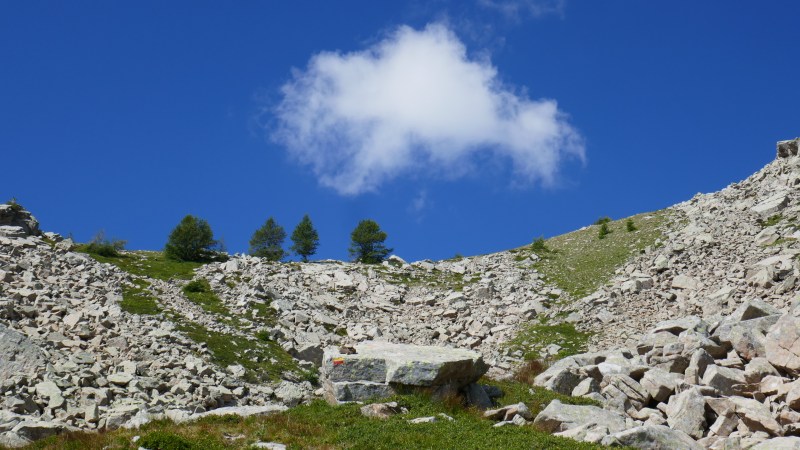 Sous la Baisse de l'Auriac