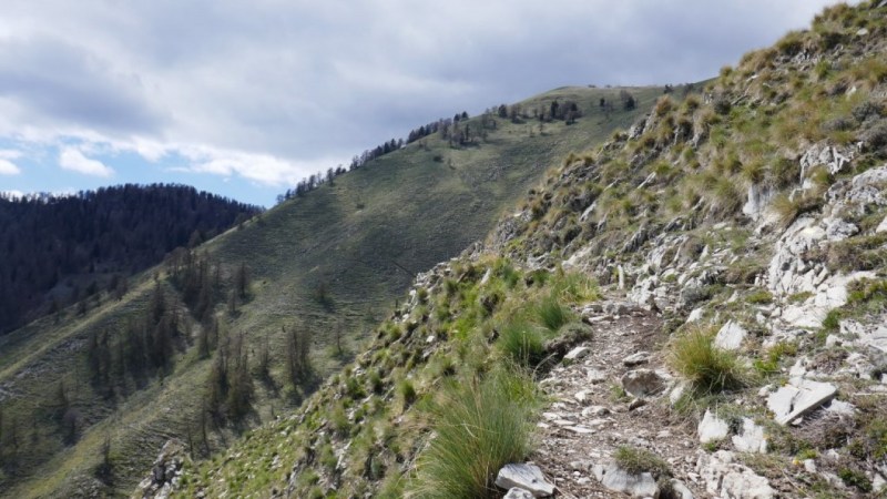 Entre sentier et drailles