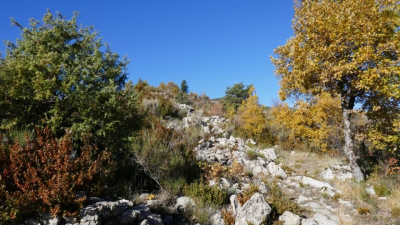 Sur la crête de la Tête de Pibossan