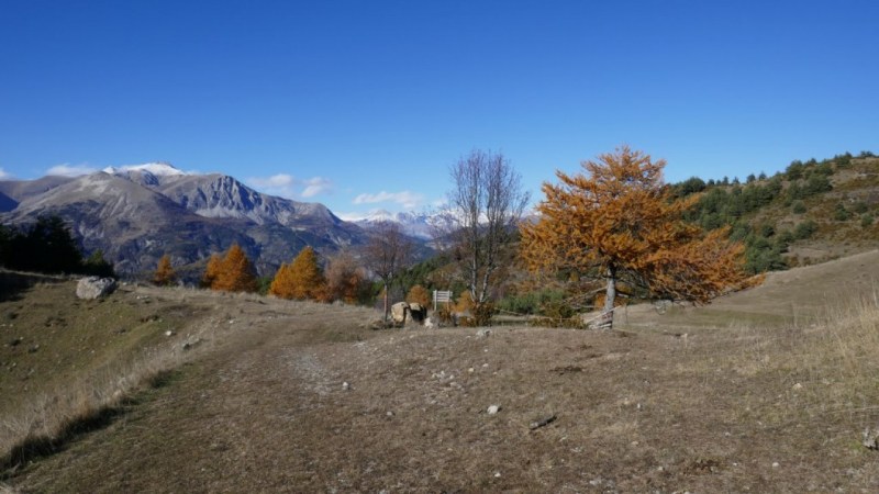 Au Collet de Larmelle