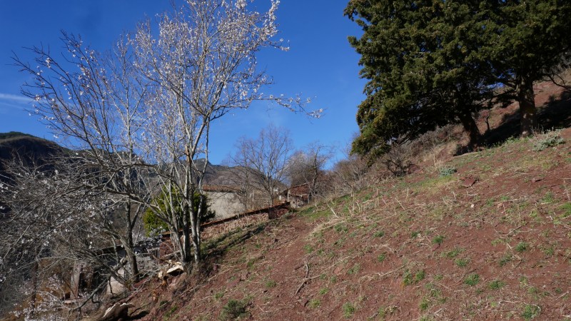 Montée entre les fermes du Rubi