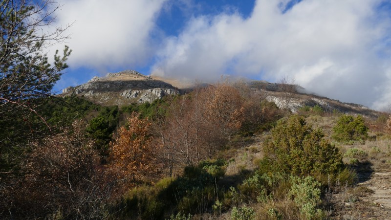 Retour à la forêt, les nuages drapent le Toraggio 