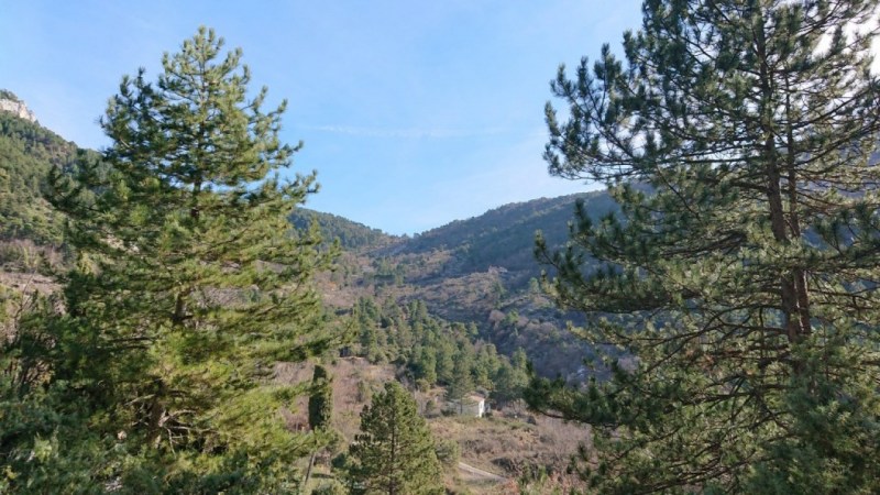 Vers le Col de la Madone de Gorbio