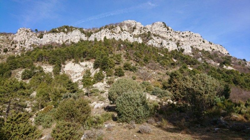 Sous les barres de la Cime de Baudon