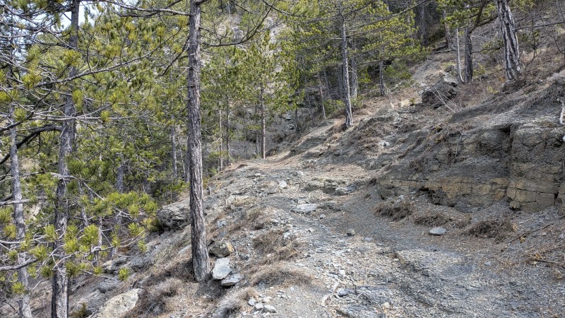 Montée au Col du Mont