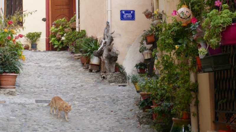 Dans les ruelles de Piène Haute