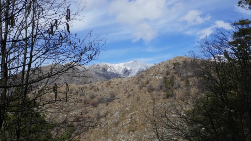 Vers le Col Sandérau