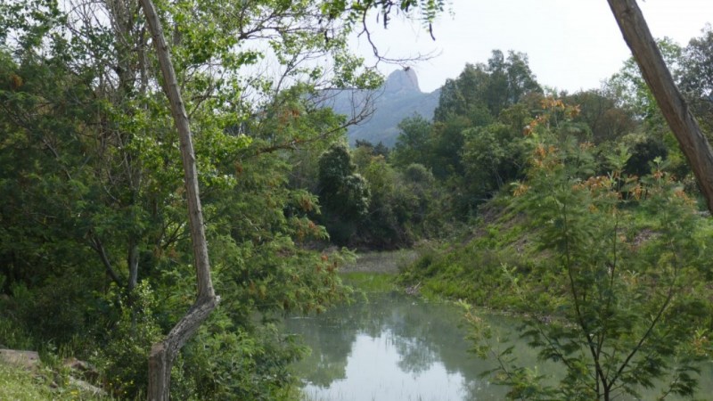 Sur les rives du Grenouillet