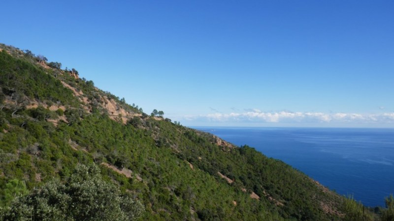 Au-dessus du Col de l'Evêque