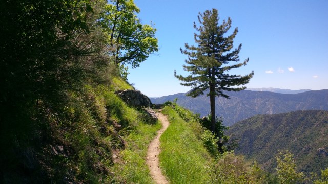 Entre Sarzit et le Lac