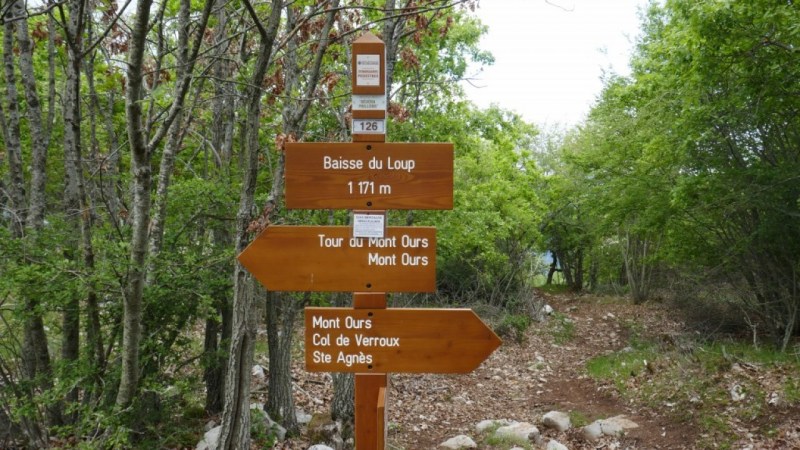 A la Baisse du Loup, sous le Mont Ours