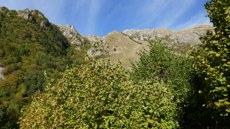 Au fond du Vallon de la Planchette