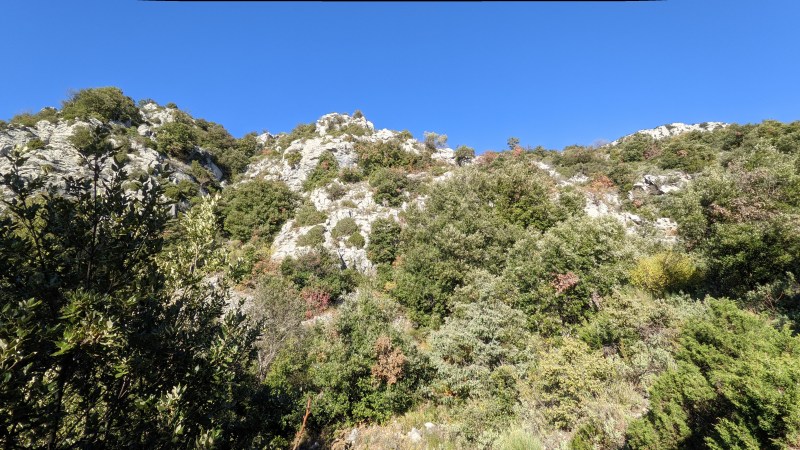 Descente du Vallon des Moutons