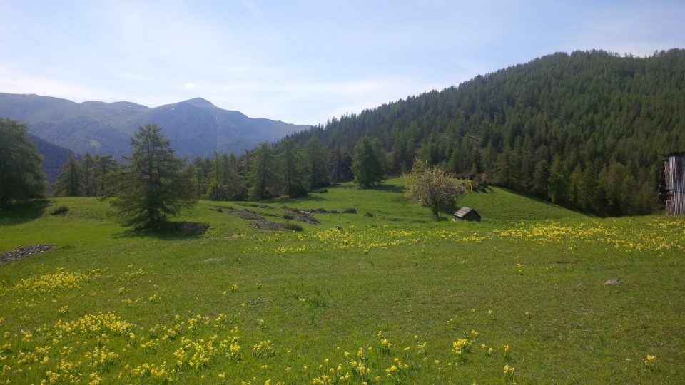 Printemps dans le Haut-Var